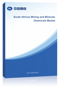 South African Mining and Minerals Chemicals Market