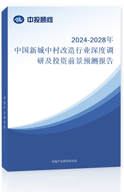 2024-2028Ї³дИI(y){мͶYǰAy